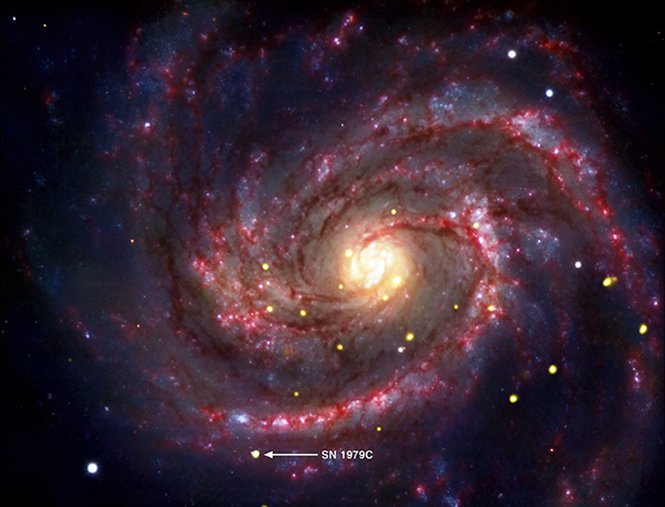Сверхновая SN1979C в галактике M100. Фото NASA/CXC/SAO/D.Patnaude et al, Optical: ESO/VLT, Infrared: NASA/JPL/Caltech