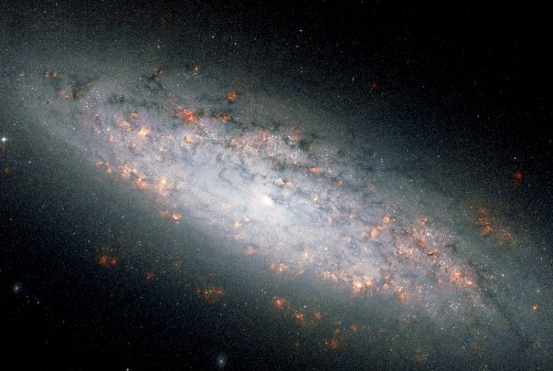 Спиральная галактика NGC 6503. Фото ESA/Hubble and NASA