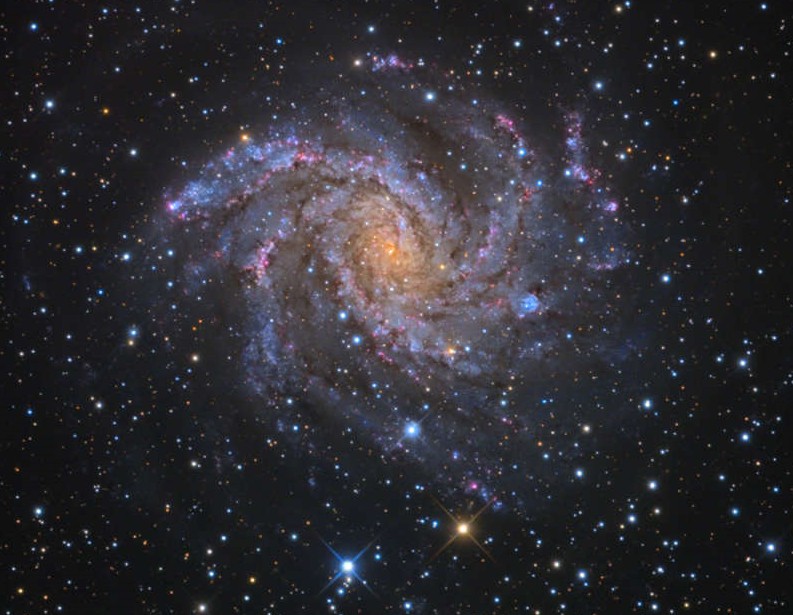 Галактика NGC 6946. Фото NASA / GSFC/ Robert Nemiroff (MTU) & Jerry Bonnell (UMCP)