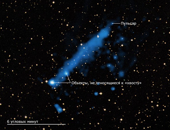 Пульсар PSR J0357 и его рентгеновский «хвост». Данные «Чандры» выделены синим, а результаты оптических наблюдений — желтым. Иллюстрация НАСА / CXC / IUSS / A. De Luca et al / DSS/ science.compulenta.ru 