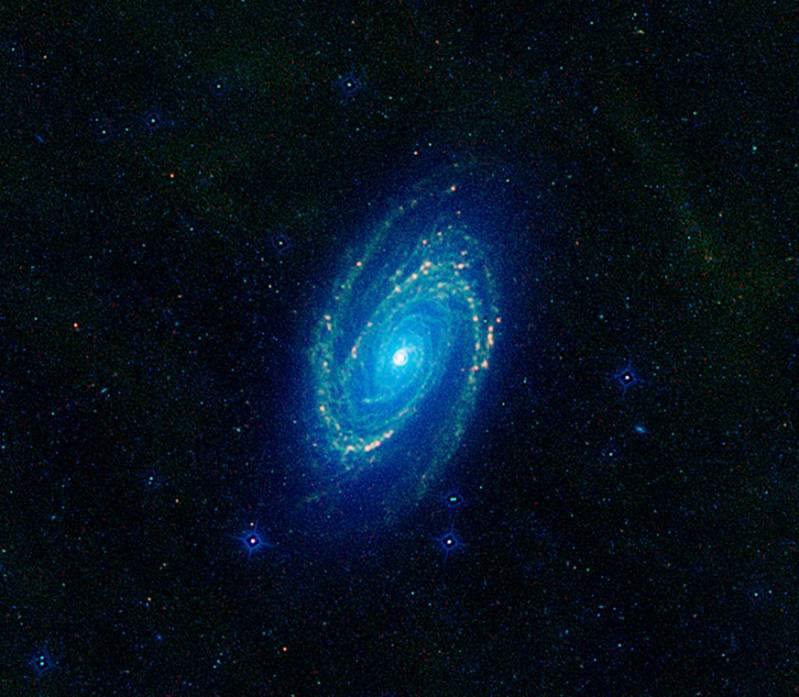 Галактика M81. Фото NASA/JPL-Caltech/WISE Team