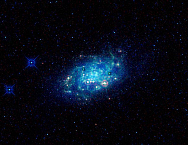 Галактика NGC 2403. Фото NASA/JPL-Caltech/WISE Team