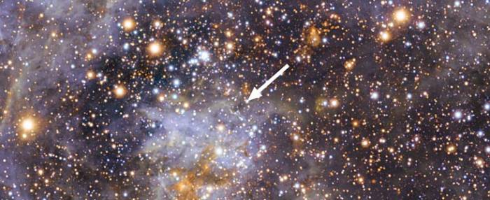 Местонахождении звезды VFTS 102 отмечено стрелкой. Фото ESO/M.-R. Cioni/VISTA