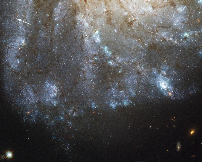 Галактика М99. Звезда PTF 10fqs отмечена стрелкой.
