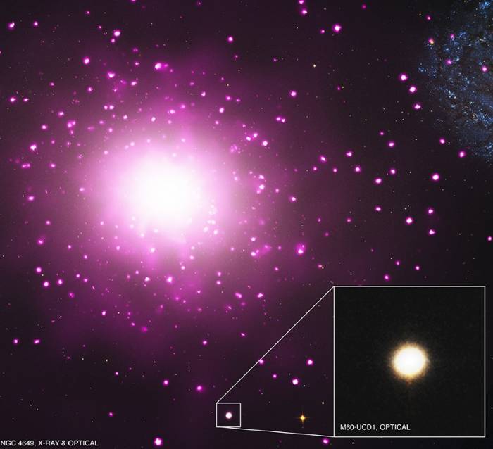 Изображение показывает комбинированное в видимом и рентгеновском диапазоне галактику M60 и область вокруг нее. Розовый цвет указывает на наличие рентгеновских источников, таких как горячий газ, двойные звездные системы, содержащие в себе черные дыры или нейтронные звезды. Во вставке сверх компактная галактика M60-UCD1. 