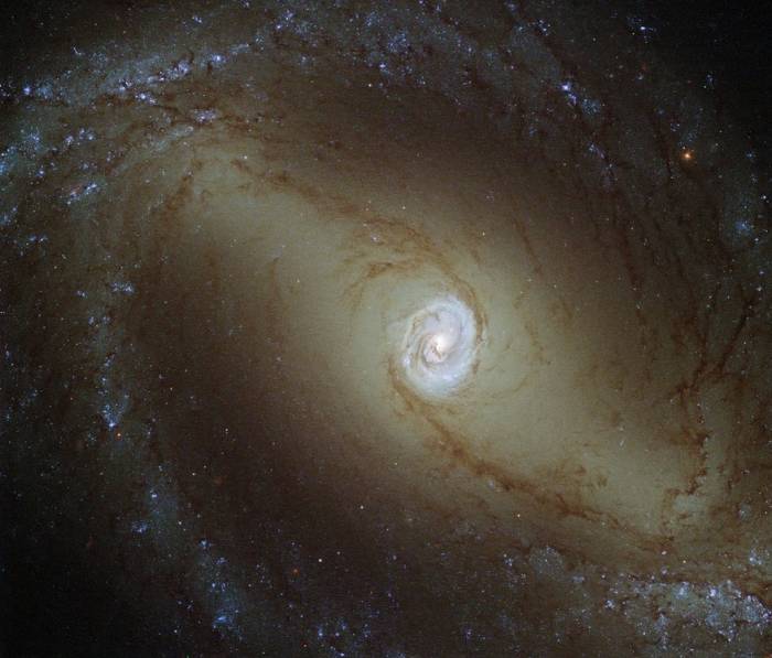 Спиральная галактика NGC 1433.