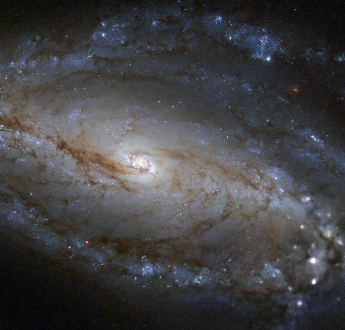 Спиральная галактика NGC 613. 