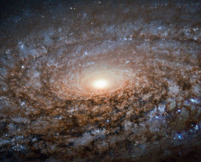 Спиральная галактика NGC 3521.