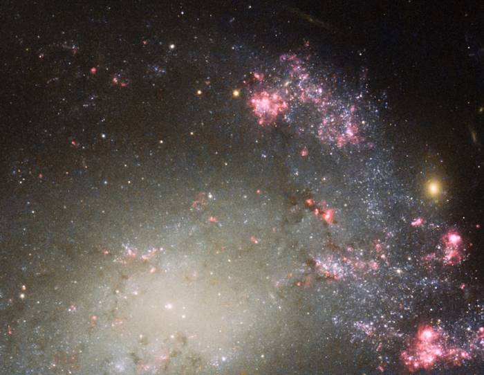 Спиральная галактика NGC 428. 