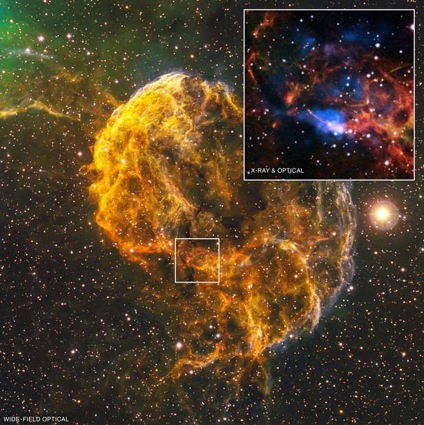 Туманность Медуза (IC 443). Во вкладке данные наблюдения рентгеновской обсерватории «Чандра».