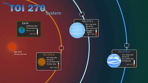 Орбитальная схема уже известных планет вокруг звезды TOI-270.