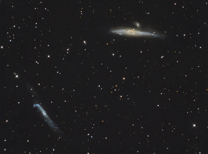 Изображение пары галактик NGC 4656 и 4631