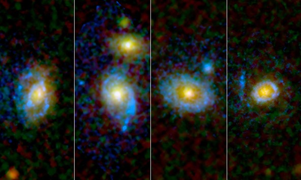 Галактики с кольцами из ультрафиолетового света. Фото NASA/ESA /JPL-Caltech/STScI/UCLA