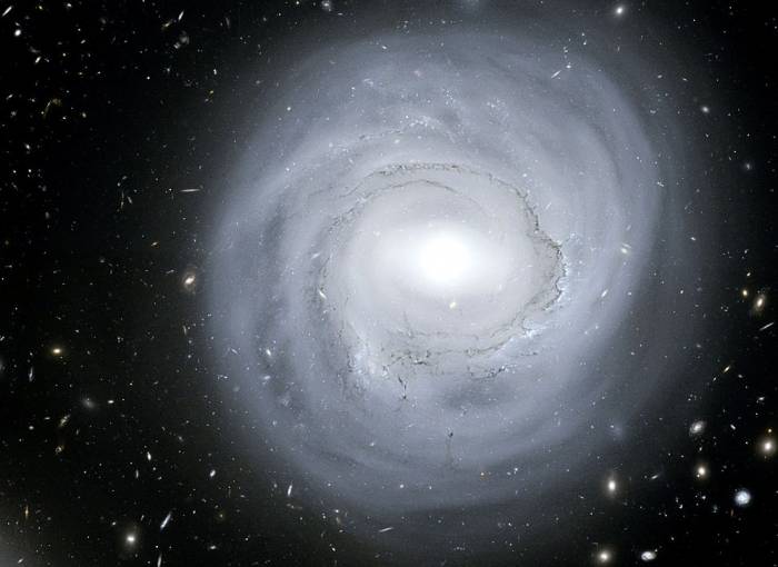 Спиральная галактика NGC 4921. Фото NASA, ESA, K. Cook (LLNL)