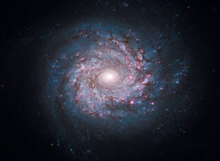 Спиральная галактика NGC 3982. Фото NASA, ESA, and the Hubble Heritage Team (STScI/AURA)