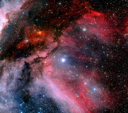 Звезда WR 22 ( в центе изображения) и ее красочные окрестности. Фото ESO