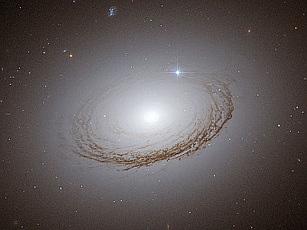 Фотография NGC 7049, сделанная телескопом "Хаббл". Фото ESA/NASA/Hubble