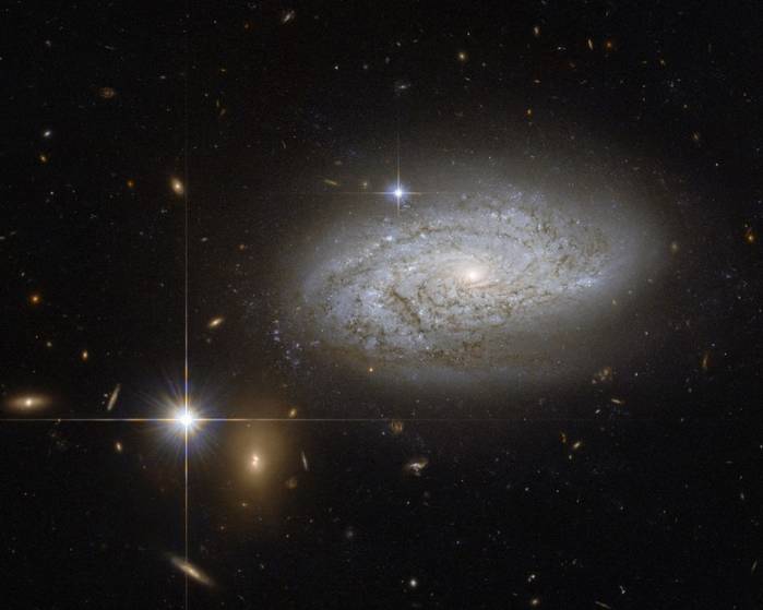 Спиральная галактика NGC 3021.
