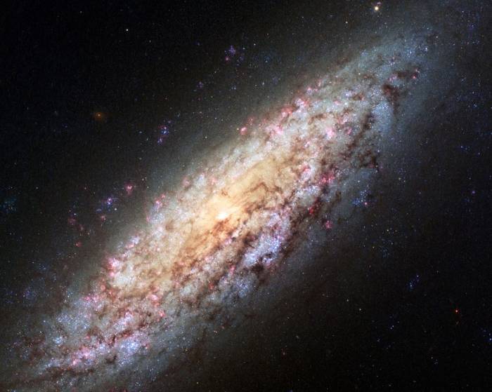 Галактика NGC 6503.