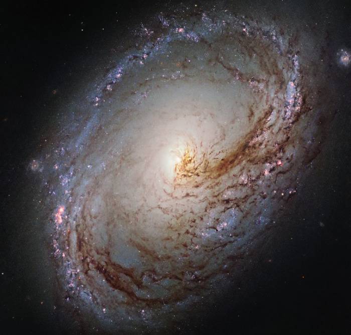 Спиральная галактика M96 (NGC 3368). 
