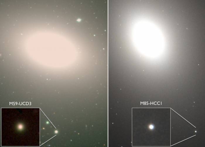 Галактики М59-UCD3 и М85-HCC1.