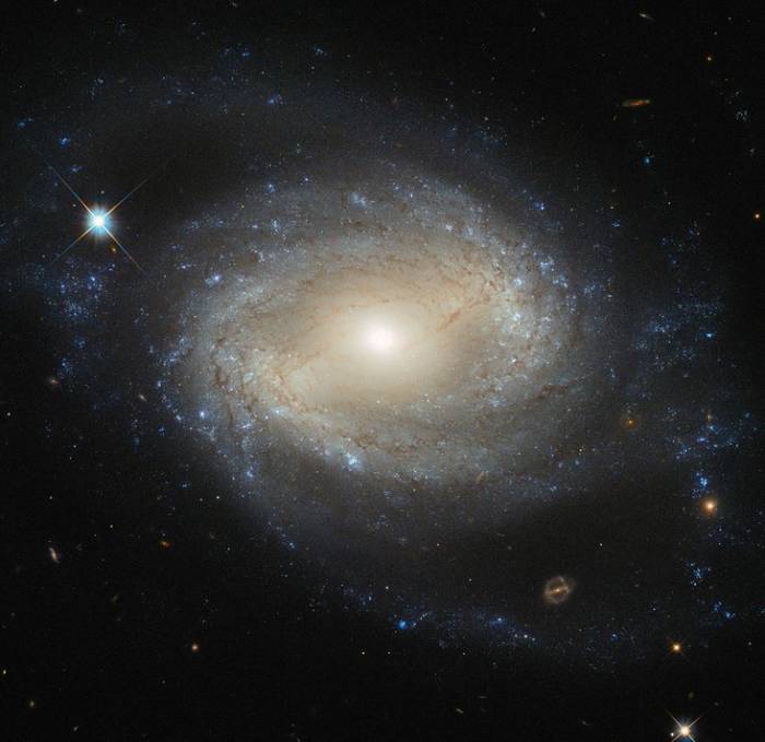 Спиральная галактика NGC 4639. 