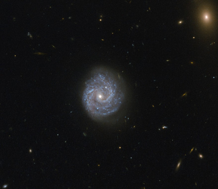 Галактика RX J1140.1 + 0307
