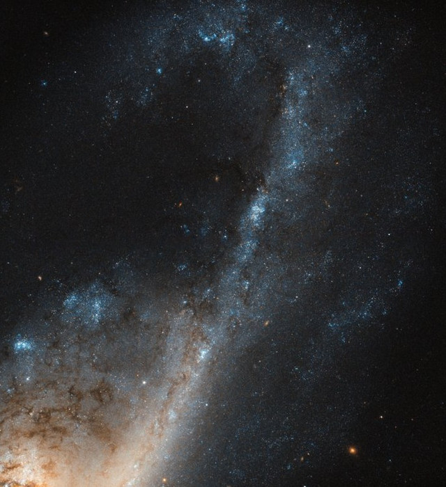 Галактика NGC4536