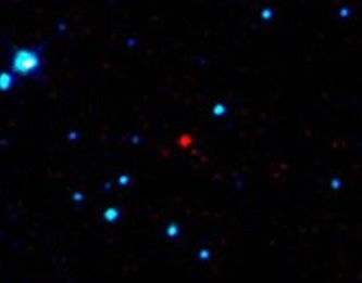 Телескоп WISE обнаружил 16 ранее неизвестных астероидов