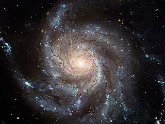 Спиральная галактика Messier 101. Фото NASA